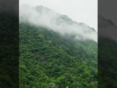 Système de drone DJI FC30 FlyCart 30 fabriqué par MYUAV