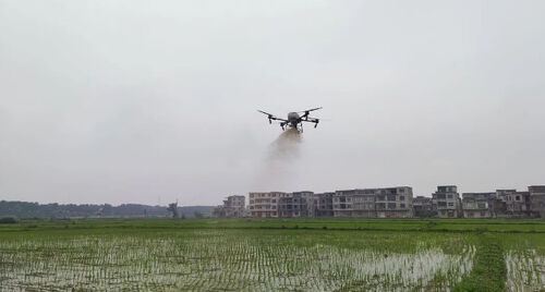 Dernières nouvelles de l'entreprise Ville antique: Drone "en service" pour aider à stabiliser le rendement du riz et augmenter les revenus