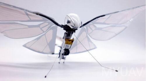 Dernières nouvelles de l'entreprise Technologie des drones bioniques analyse théorique, technologie des drones à voilure battante explication détaillée